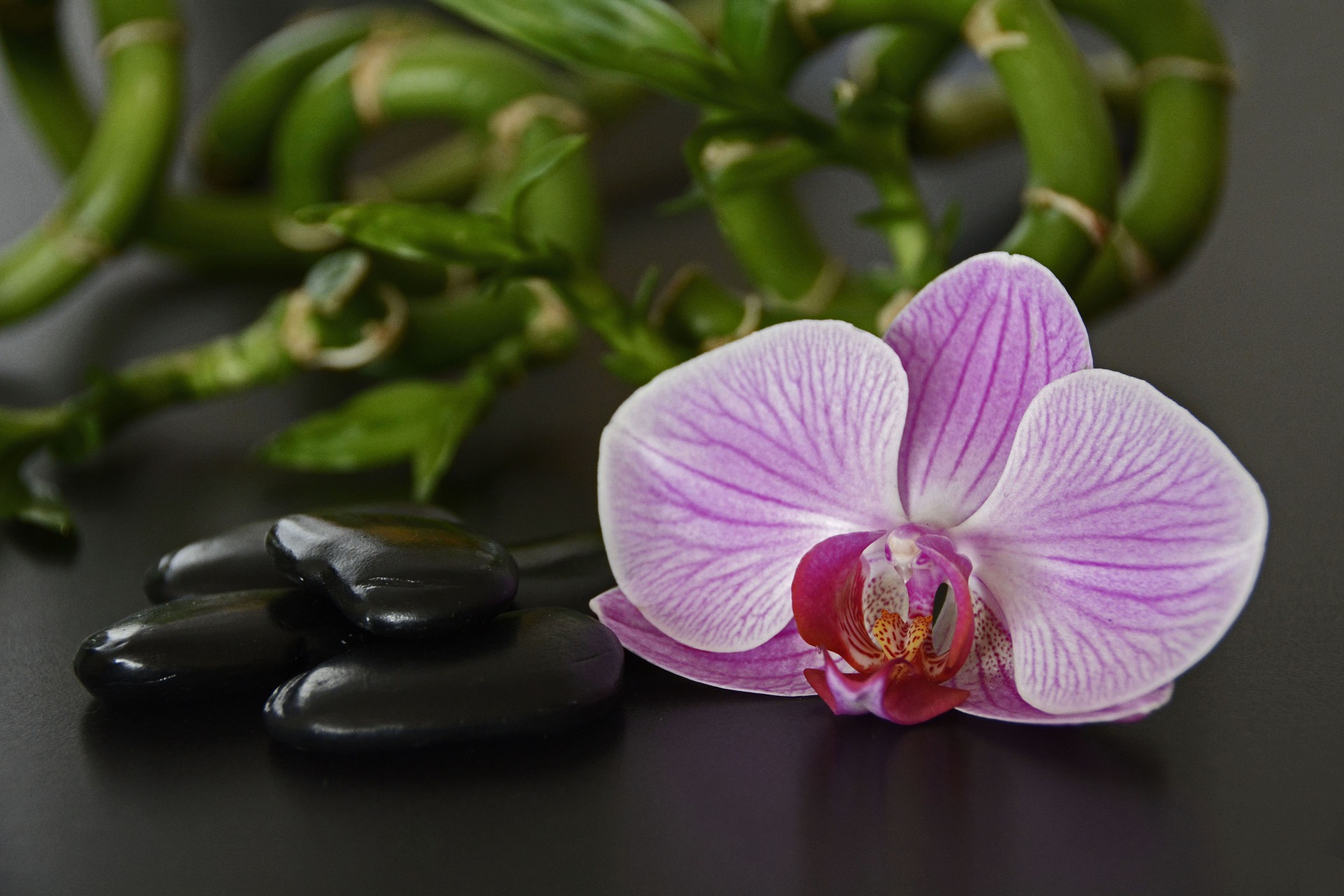 LomiLomi Massage Therapy with Hot Stone Hydrotherapy - Ceremony